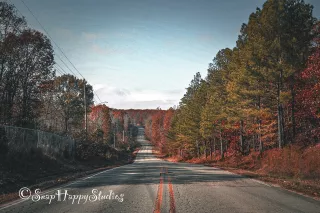 Along The Road 1616 x 1080 hig definition image